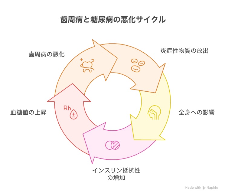 歯周病と糖尿病が互いに悪化し合う関係を示した図解