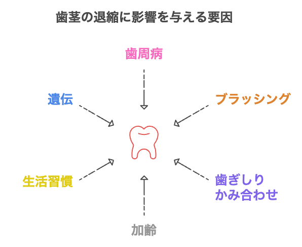 歯茎下がりの主な原因(歯周病・ブラッシング・加齢など)を示すイラスト
