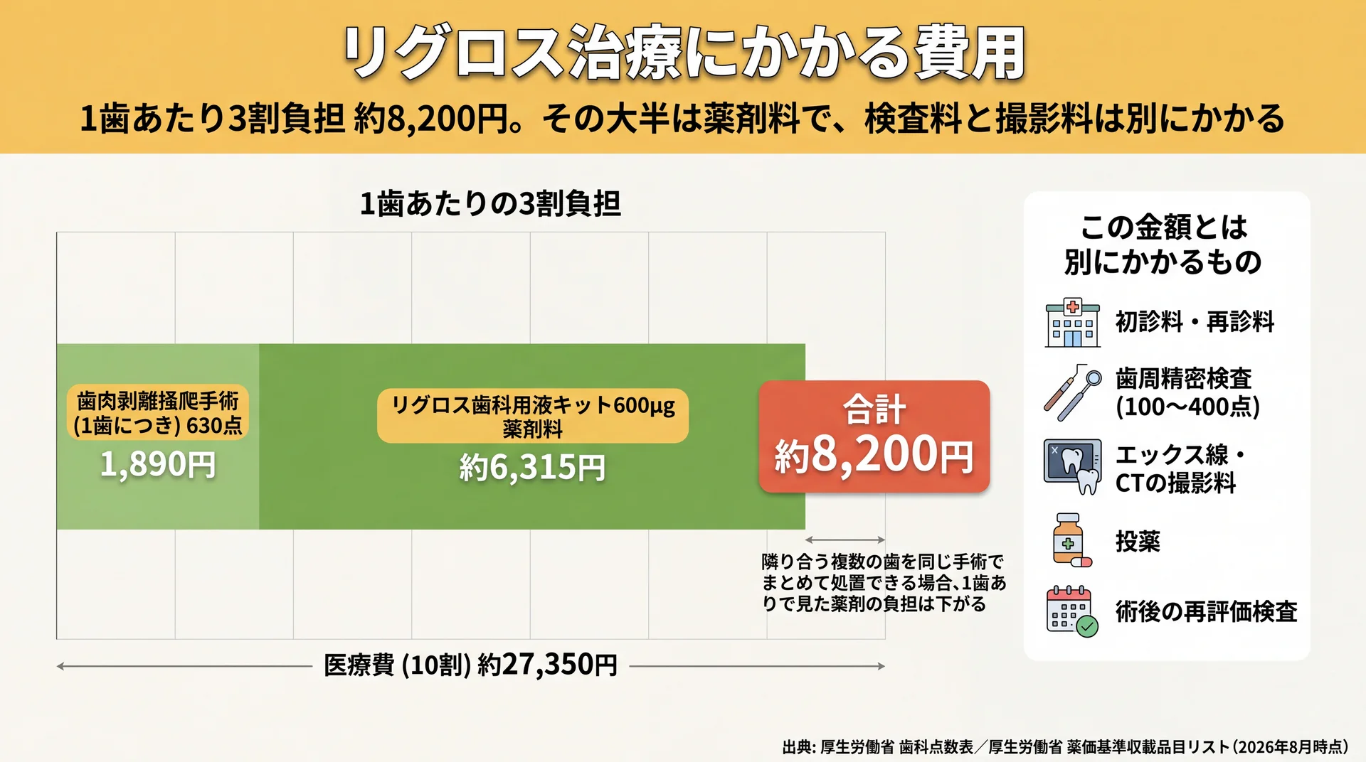 3割負担約8,200円の内訳（手術1,890円と薬剤料約6,315円）および別途かかる検査・撮影料の一覧