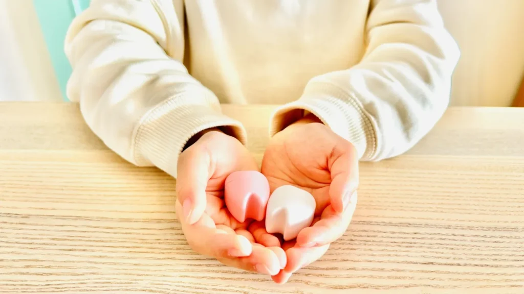 乳歯と永久歯の模型を両手にのせる子ども（小児矯正を第一期でやめる判断を解説する記事）